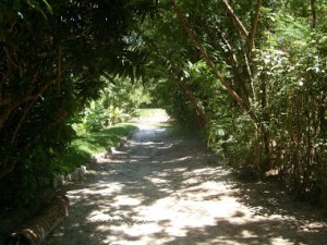 RetiroDeSilencio2011 090