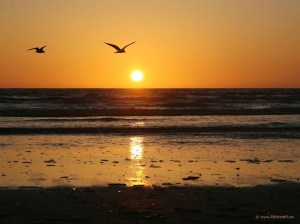 901917_782550815090954_4001224822190206520_o